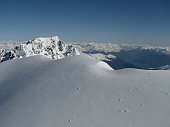 23_L'Ortles è vicino